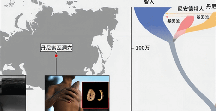 我们从哪里来？基因科学能帮助我们了解什么？