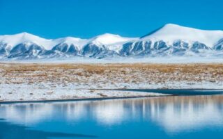 这里是太阳系的另一个生命乐园，地球之外的生物或许是这个样子